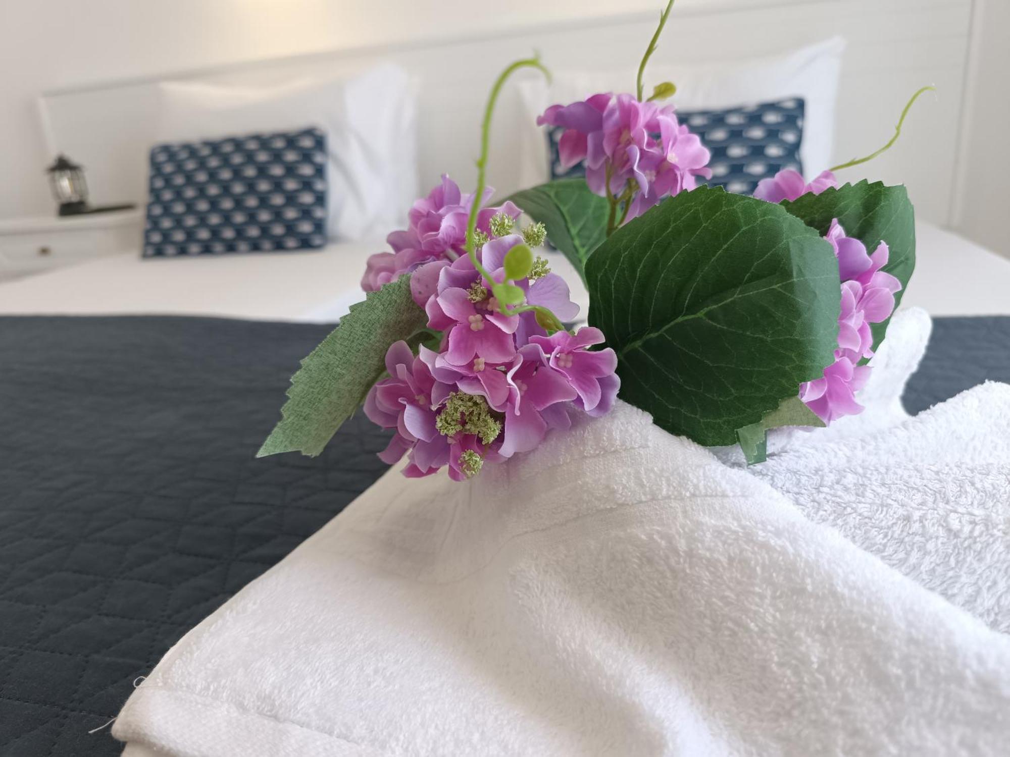 Nautilus City Studios & Apartments Rhodes City Dış mekan fotoğraf